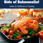 Don't serve turkey with a side of salmonella graphic